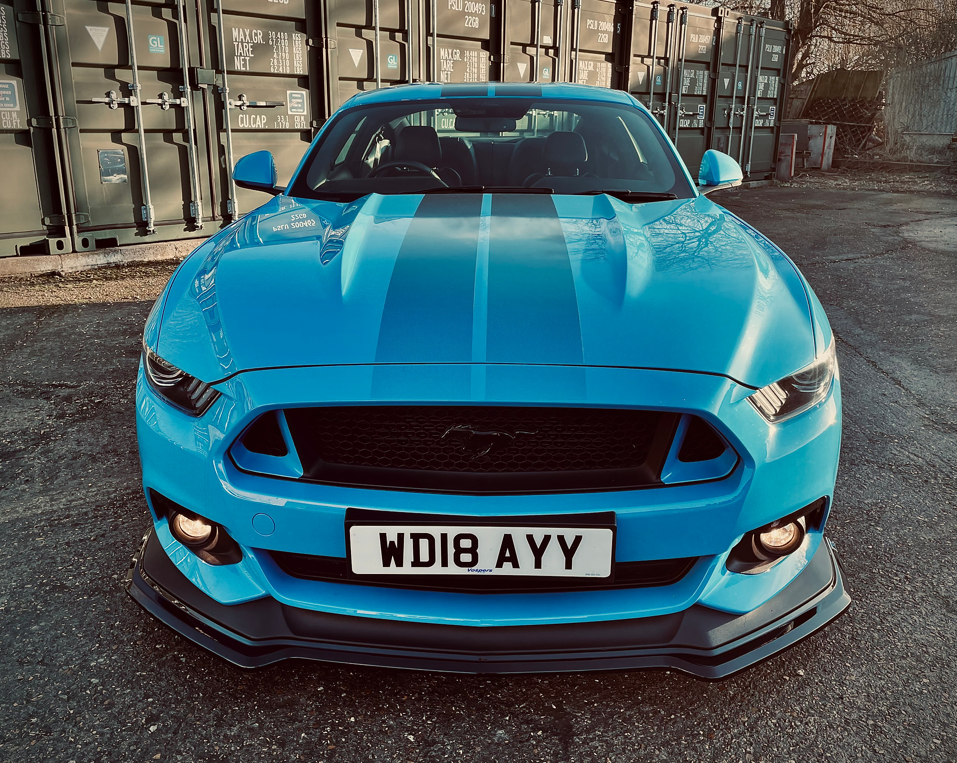 Ford Mustang S550 5.0L GT Pre Facelift - Front Splitter