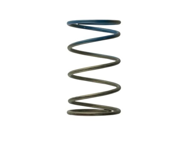 Gen4 / IWG WG38/40/45/50L 10PSI OUTER SPRING - BROWN/BLUE