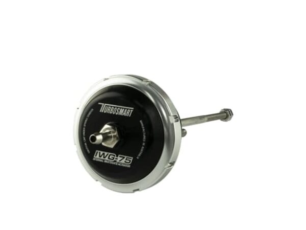 IWG75 Ford Fiesta ST 1.6L Ecoboost Black 7PSI