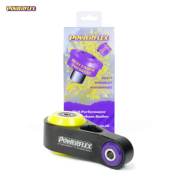 Lower Engine Mount & Fast Road Image