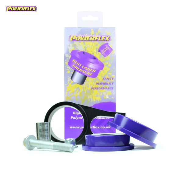 Lower Torque Mount Bracket & Bush & Fast Road/Track Image