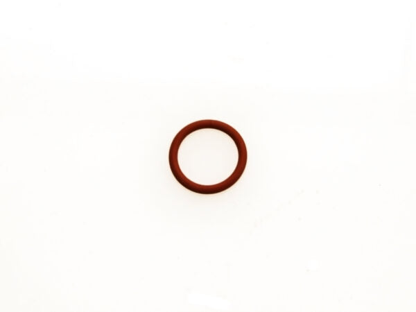 WG Valve Guide O Ring