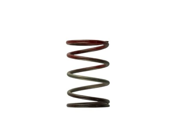 Gen4 / IWG WG38/40/45/50L 11PSI MIDDLE SPRING - BROWN/RED