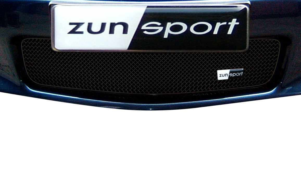 Zunsport BMW Z3 2.2 & 2.9 1996-2002 Lower Grille Black